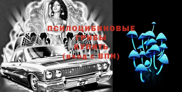 дживик Богородск