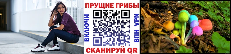 Псилоцибиновые грибы Magic Shrooms  кракен рабочий сайт  Новая Усмань  наркошоп 